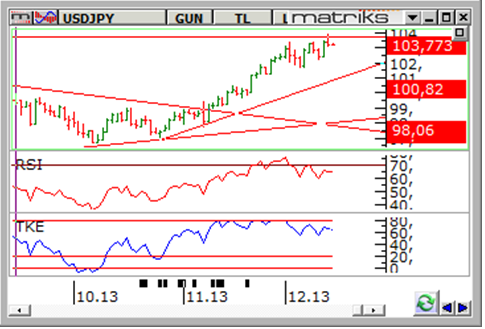 yasar-erdinc-usd-jpy-16-12-2013