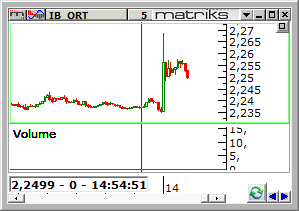 dolar-tl-21 ocak