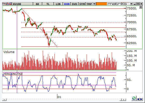 endeks-29-Ocak-2014