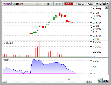 dolar-TL 17 Temmuz